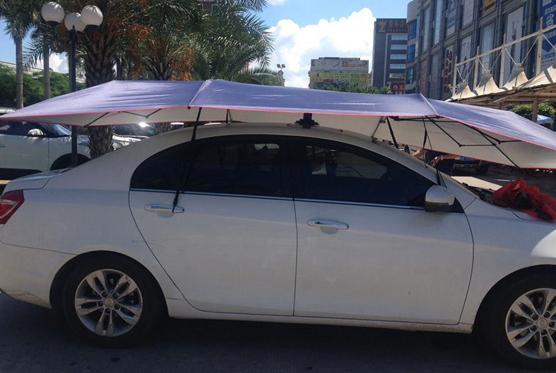 Lanmodo Auto Portable Car Umbrella